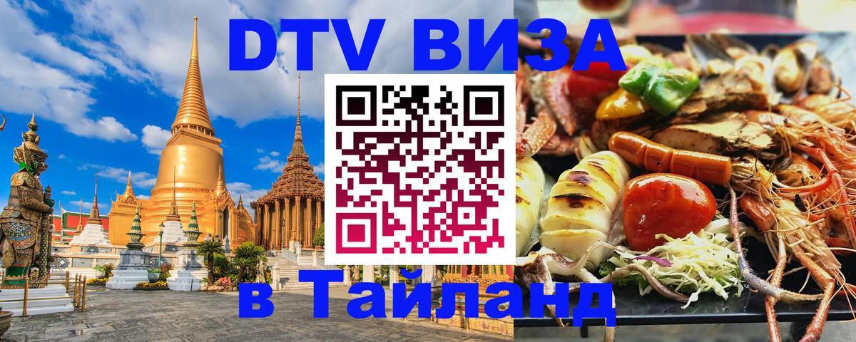 Оформление DTV визы под ключ: стоимость и тарифы, только загранпаспорт - Тамбов 